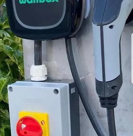 The Hawthorn 丁格尔